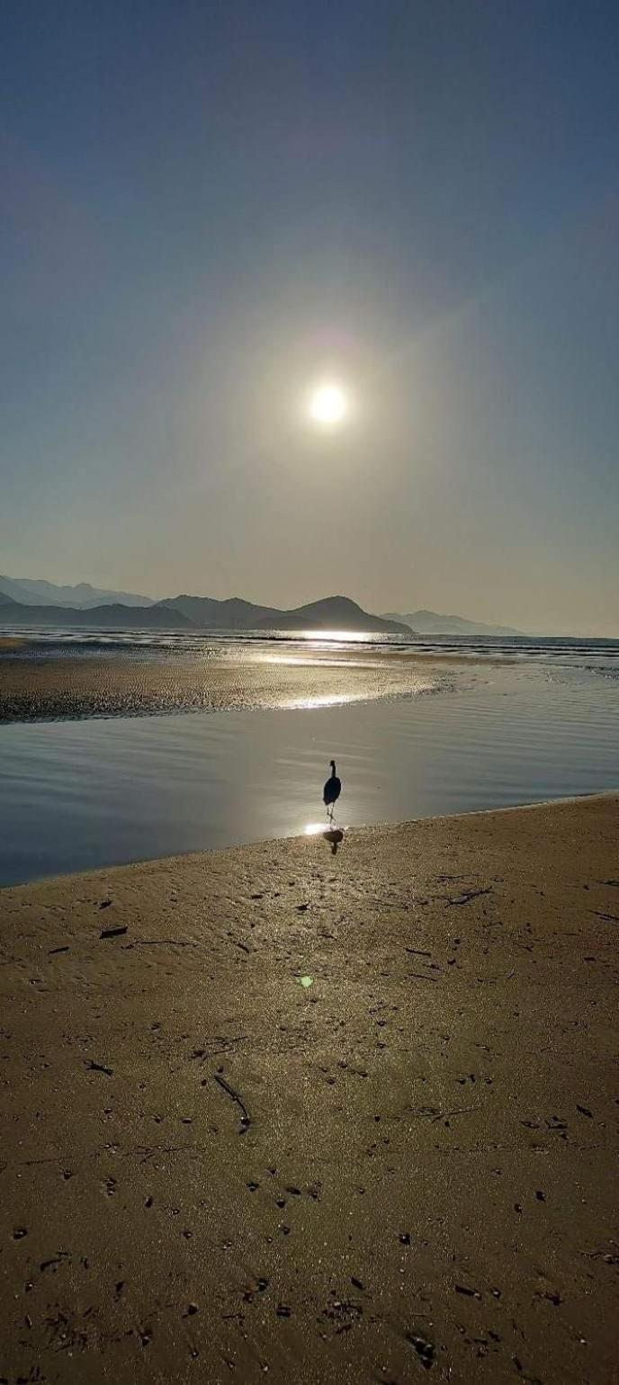 Descanso E Aconchego Massaguacu คารากัวตาตูบา ภายนอก รูปภาพ